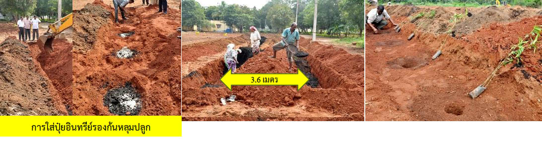 ขั้นตอนเตรียมก่อนลงปลูก