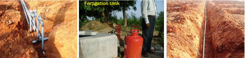 การให้ปุ๋ยในระบบชลประทาน หรือระบบน้ำ (fertigation)