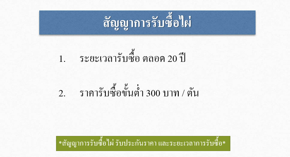ผลผลิตจากไผ่ ในปีที่ 2 ของการปลูก